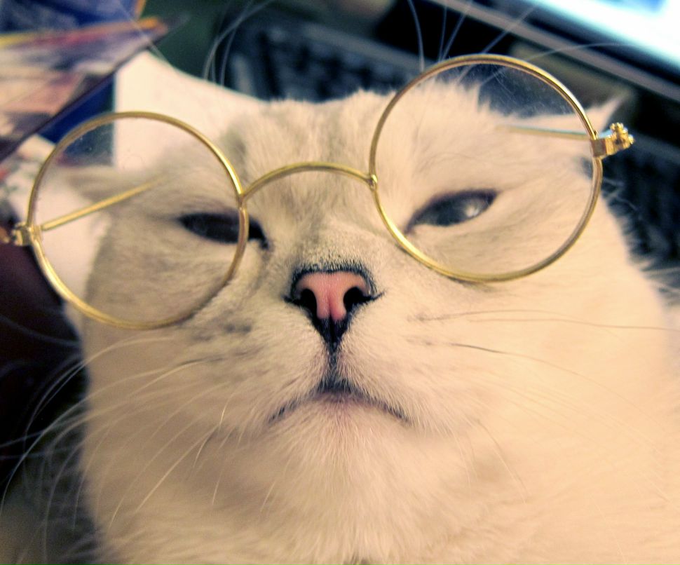 Оля Василенко | 