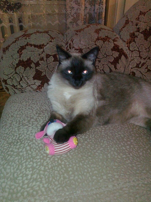 Николай Ощепков | Кондопога