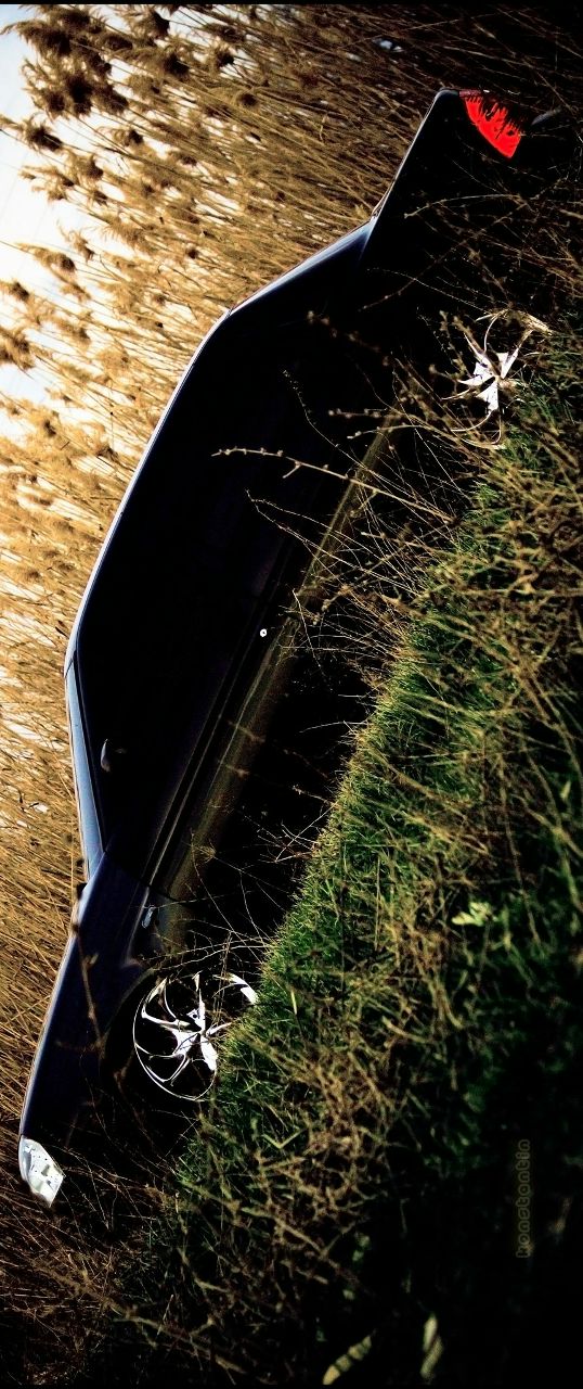 Костик Еремин | 