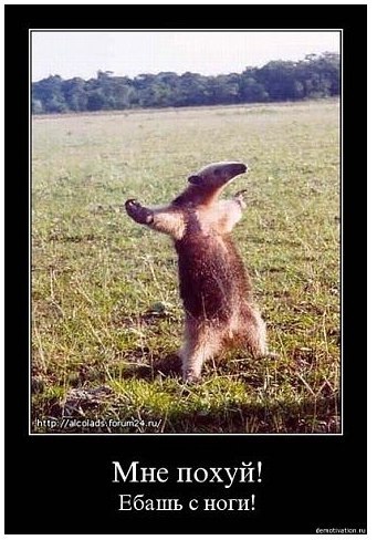 Роман Галитенко | Донецк