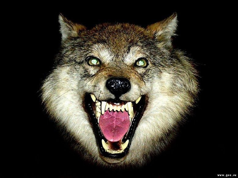 Vadim Evsukov | Феодосия