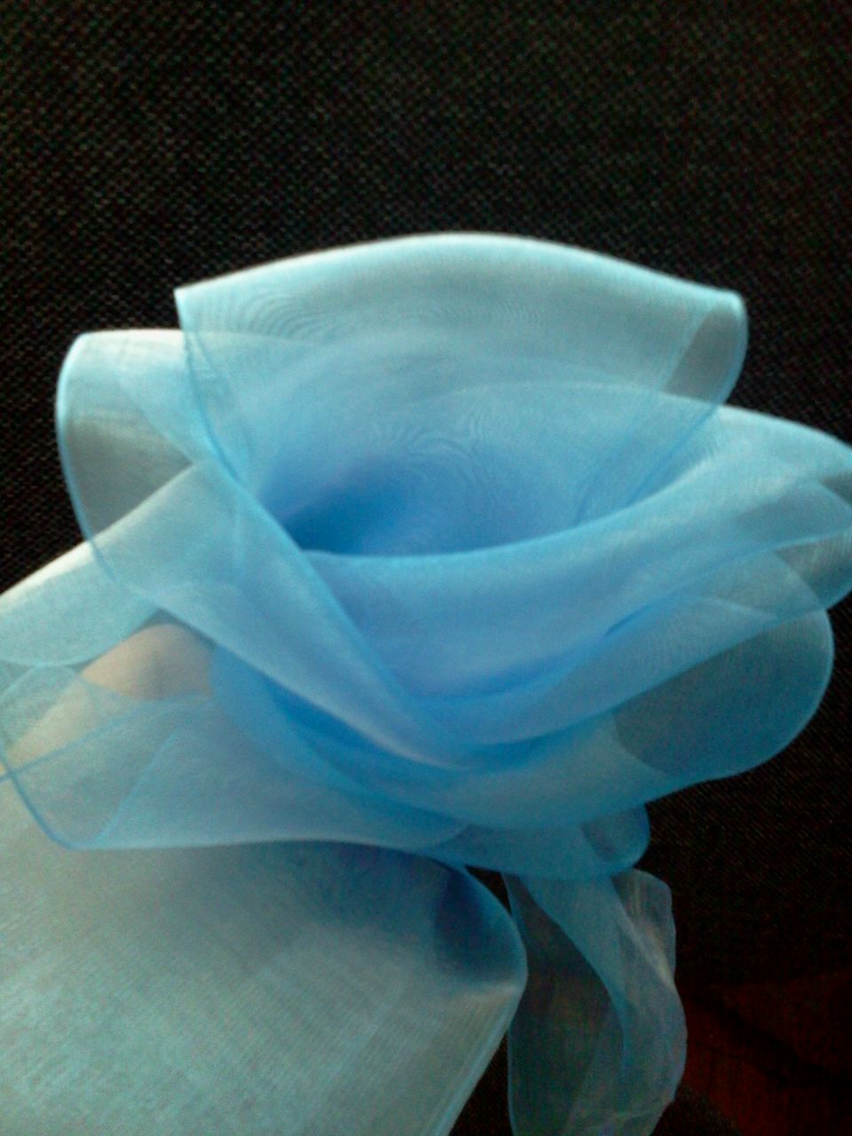 Елена Лебедева | Кострома