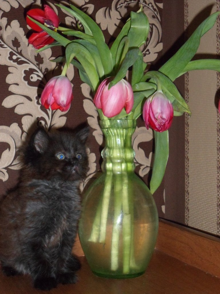 Дмитрий Бикмухаметов | Казань