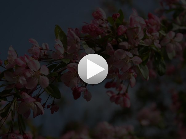 Любушка Тарасова | Санкт-Петербург