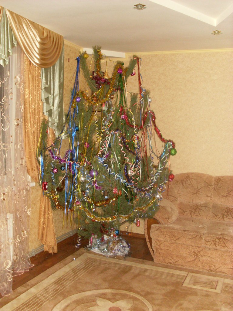 Евгения Погребцова | Киев