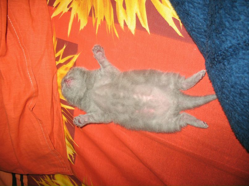 Анастасия Сомова | Шахтерск