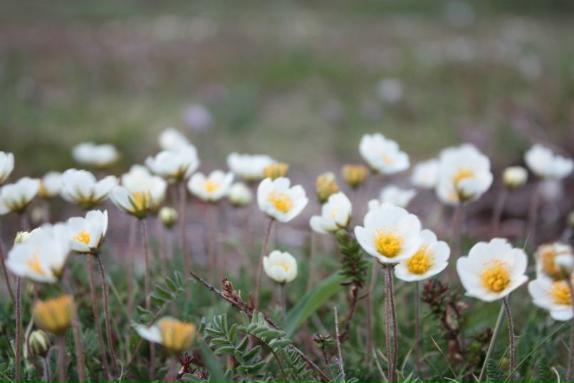 Светлана Тинькова | Луостари Верхнее