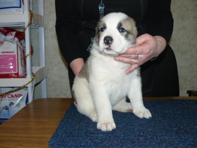 Александра Лакеева | Пенза