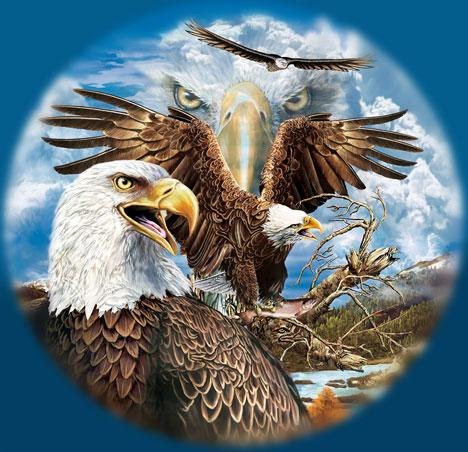 Андрей Серов Александрович | Севастополь