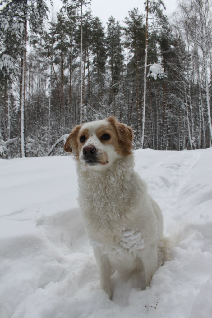 Светлана Мочаловская | Люберцы
