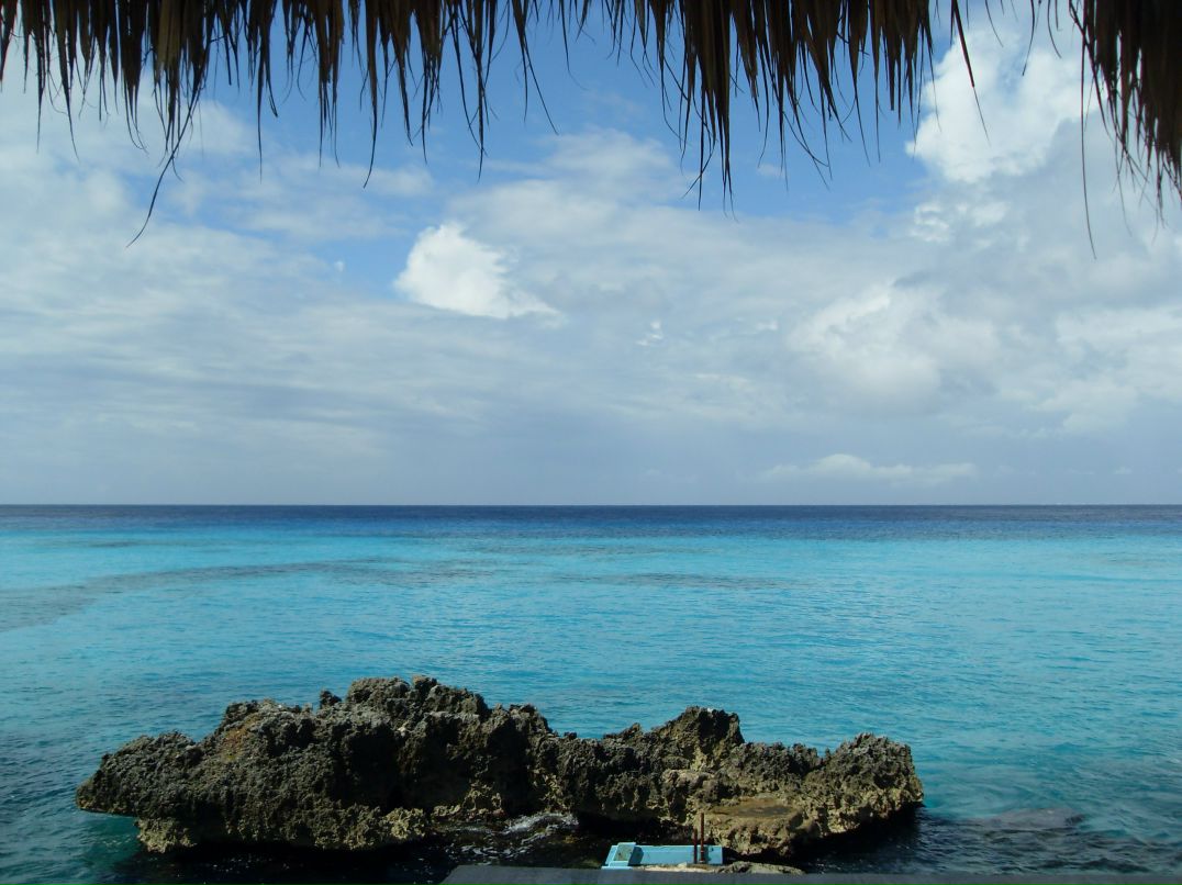 Юлия Шибаева | Санкт-Петербург