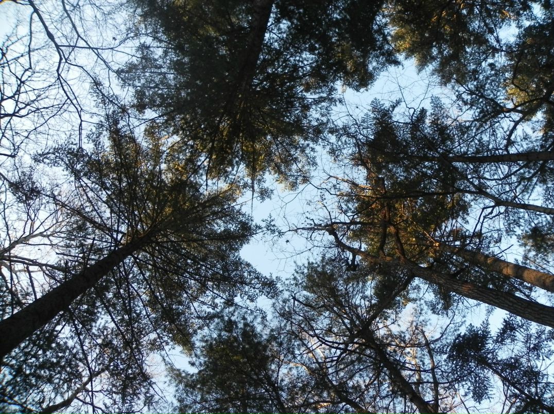 Полина Федоскова Teetotal | Владивосток