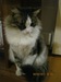Марина Шацкая фотография #29