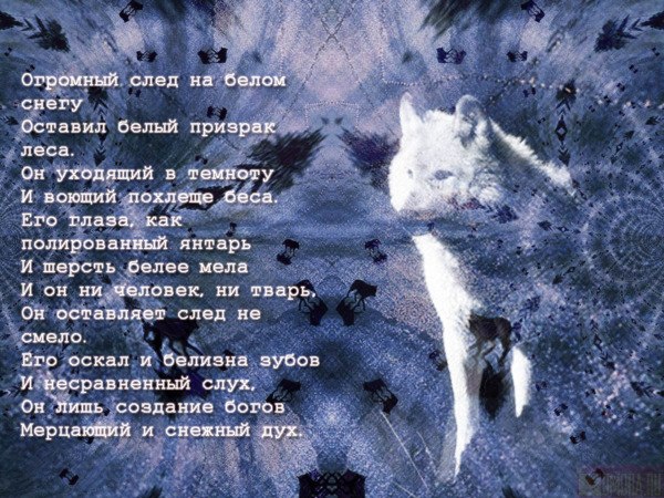 Сергей Пашков Иванович | Оса