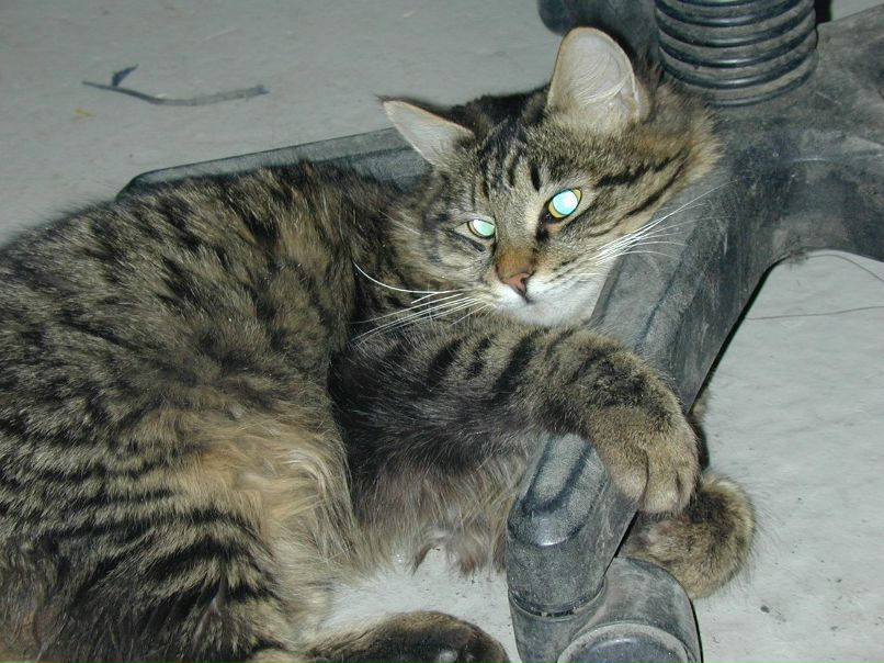 Роман Волошин | Липецк