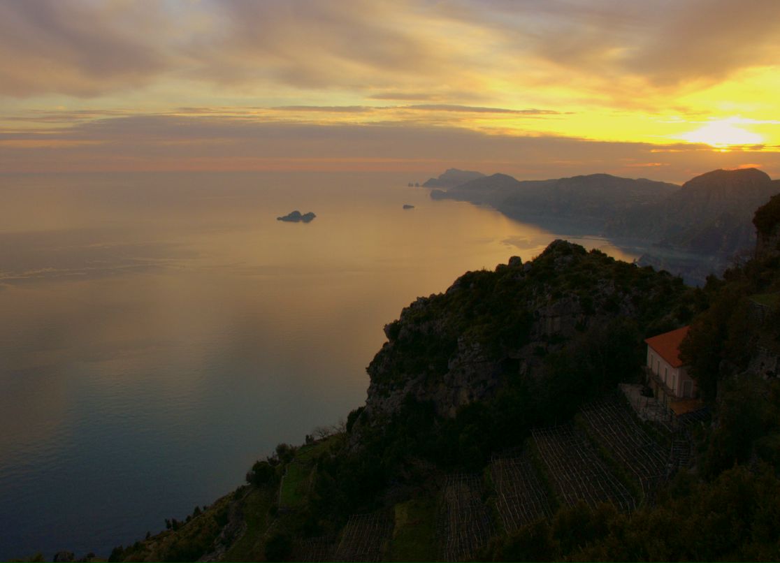 Kate Shybut | Минск