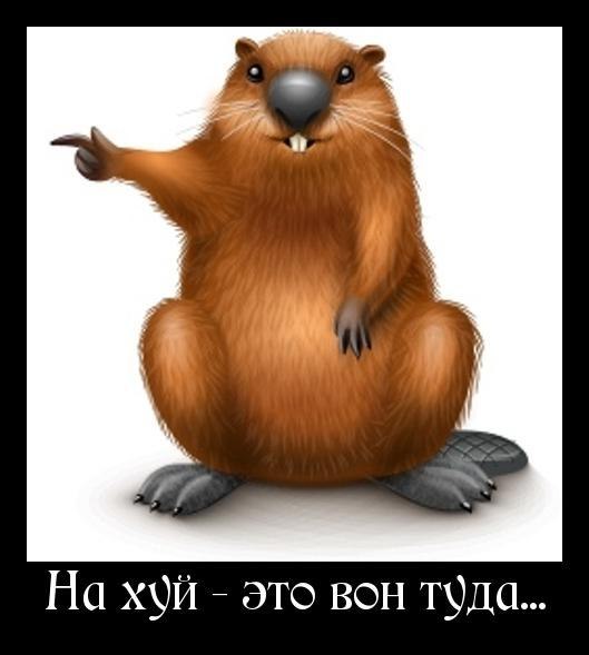 Диана Нурмеева | Москва