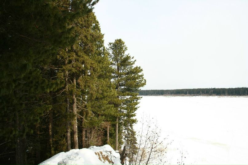 Григорий Петров | 