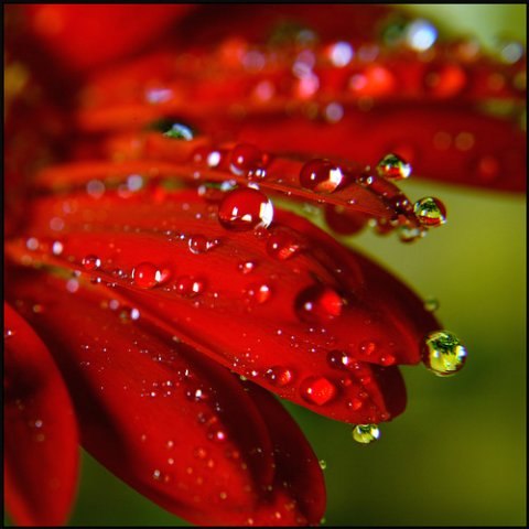 Надежда Кузнецова | Павловск