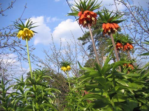 №1, Валерия Хрусталева, 56 лет, Димитровград №1, Валерия Хрусталева, 56 лет, Димитровград