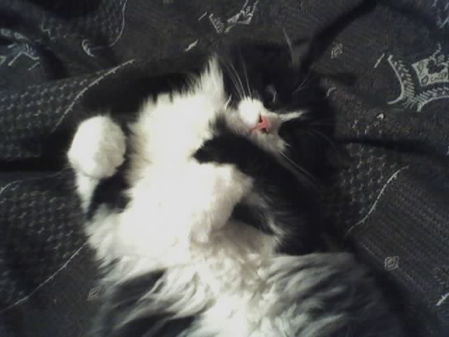 Сергей Виноградов | Санкт-Петербург