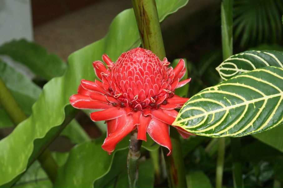 №90, Ян Сосман, Санкт-Петербург №90, Ян Сосман, Санкт-Петербург