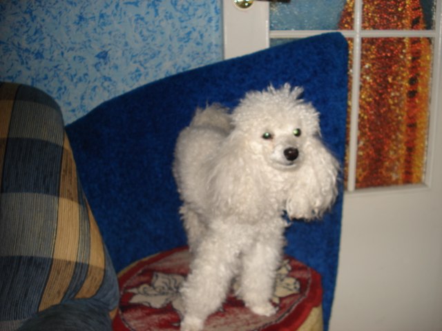 Галина Чаркина | Петрозаводск