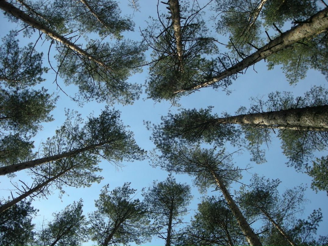 Alevtina Morozova | Санкт-Петербург