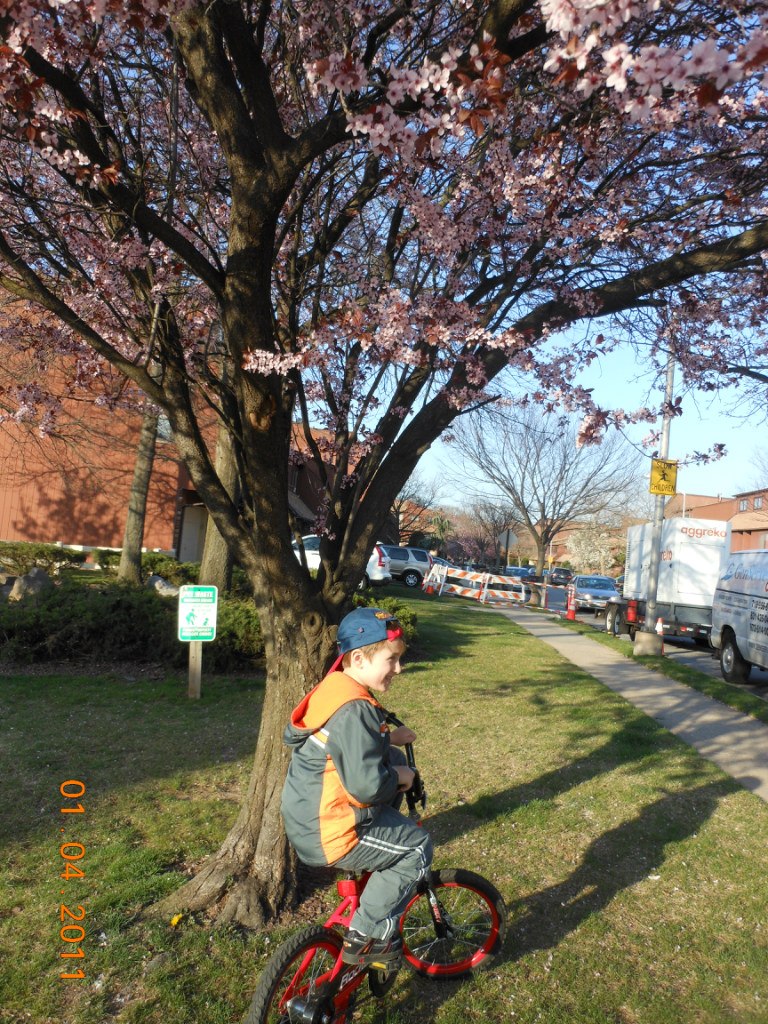 Галина Рузаева | New York City