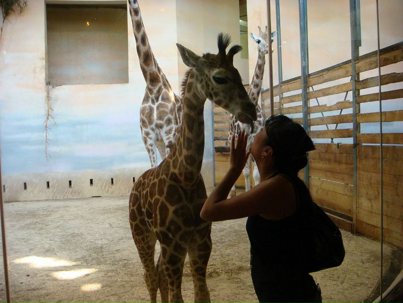 №137, Юлия Ким, Калининград №137, Юлия Ким, Калининград