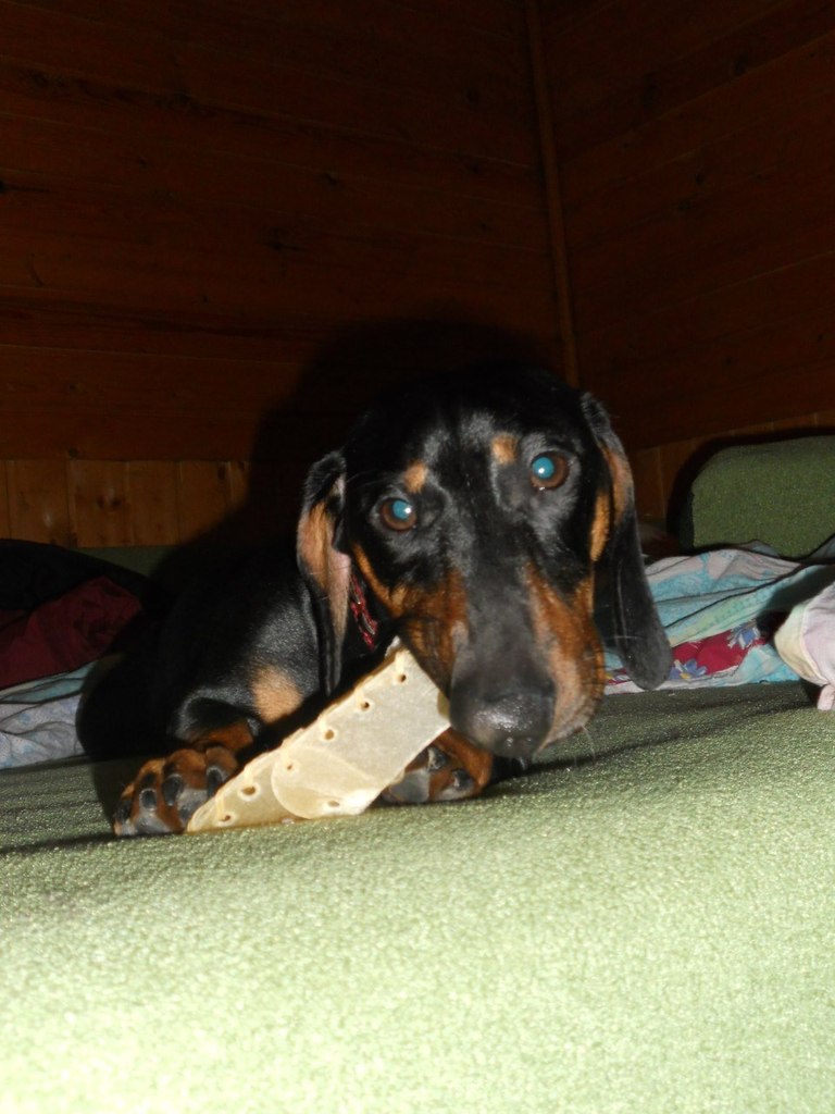 Софья Романовская | Санкт-Петербург