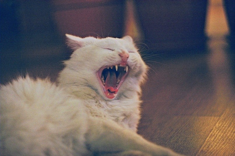 Юлия Люшневская *LADA* | Владивосток