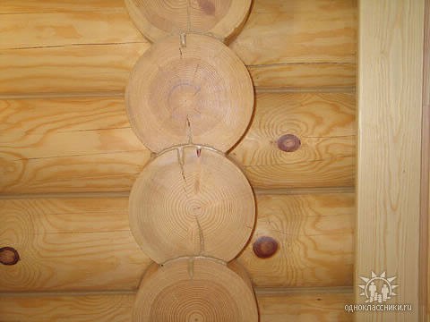 Владимир Владимиров | Москва