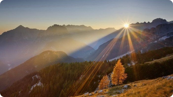 Анна Антименкова Нют | 