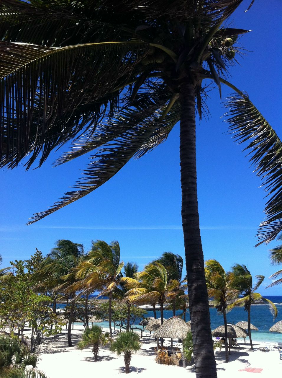 Юлиана Баранова | 