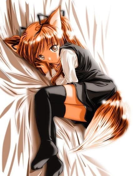 Катосик Рыжик | Петропавловск-Камчатский