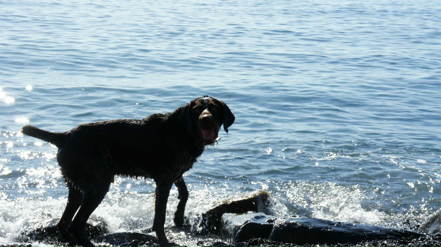 Рустам Шарафутдинов | Новороссийск