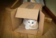 №10, Андрей Иванов, 14.11.1980, 45 лет, Санкт-Петербург, Россия