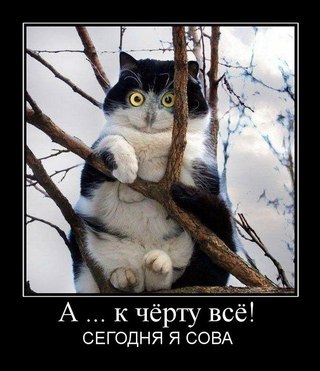 Ольга Коломажина | Москва