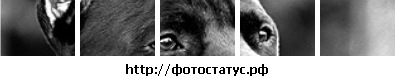 Вадим Кириллов фото со стены #2