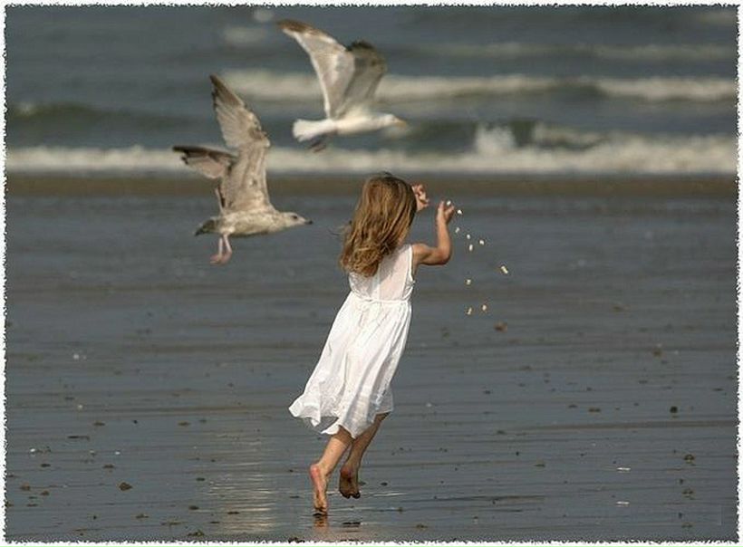 №2, Сергей Рогов, 64 года, Санкт-Петербург №2, Сергей Рогов, 64 года, Санкт-Петербург