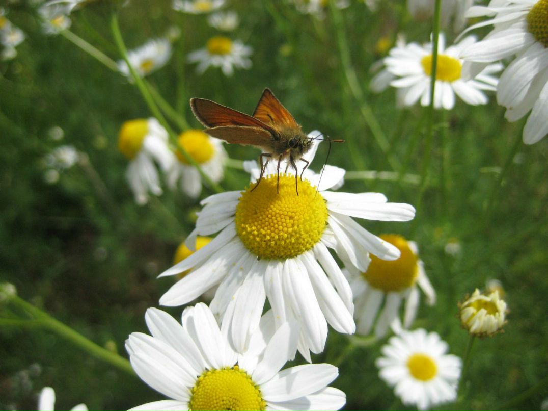 Алёна Бавыкина | Москва