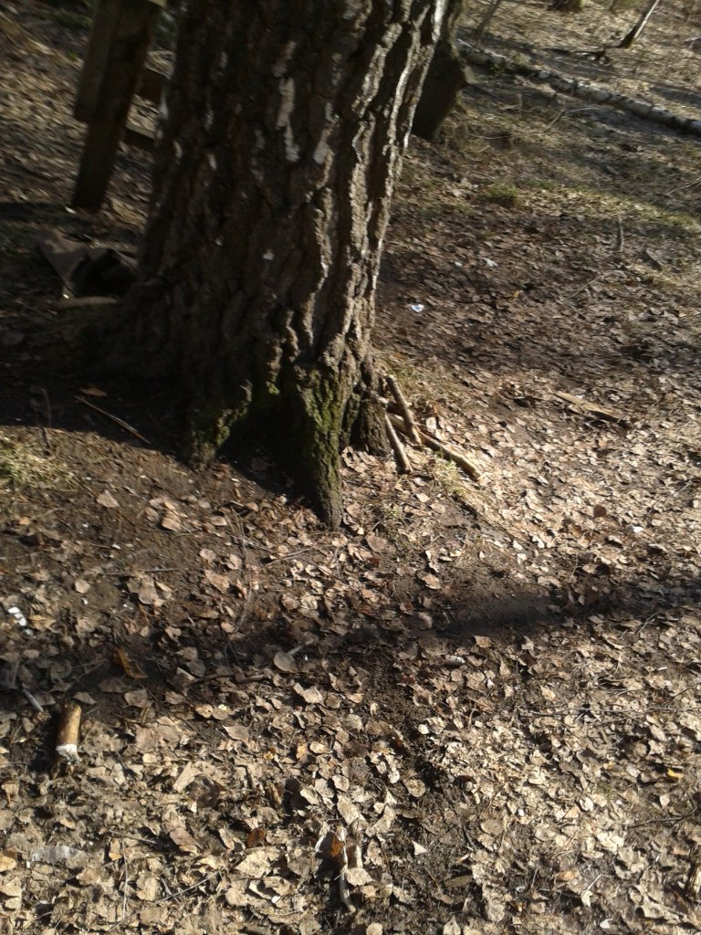 Лерика Стрельникова | Екатеринбург