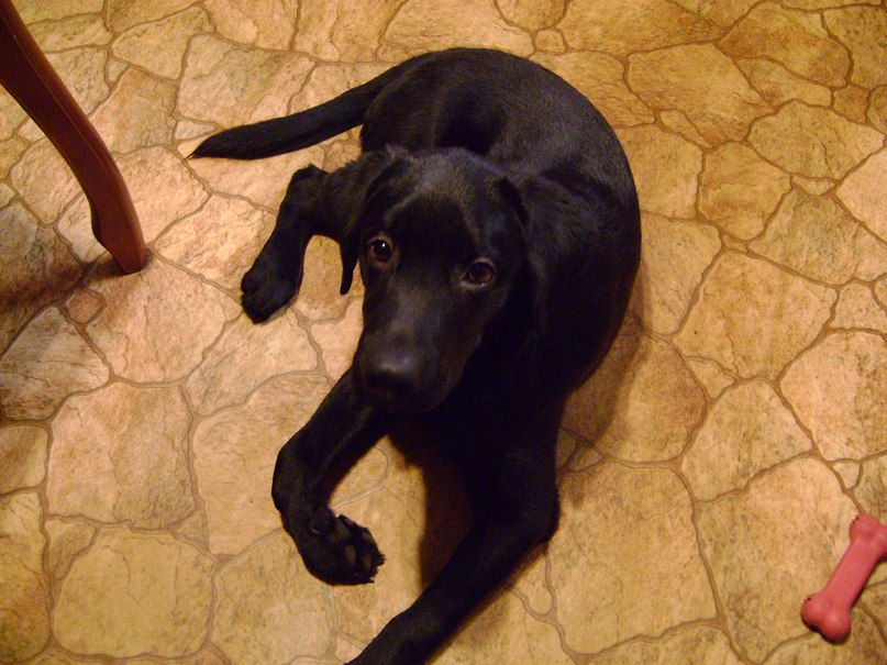 Паша Роскин | Мурманск