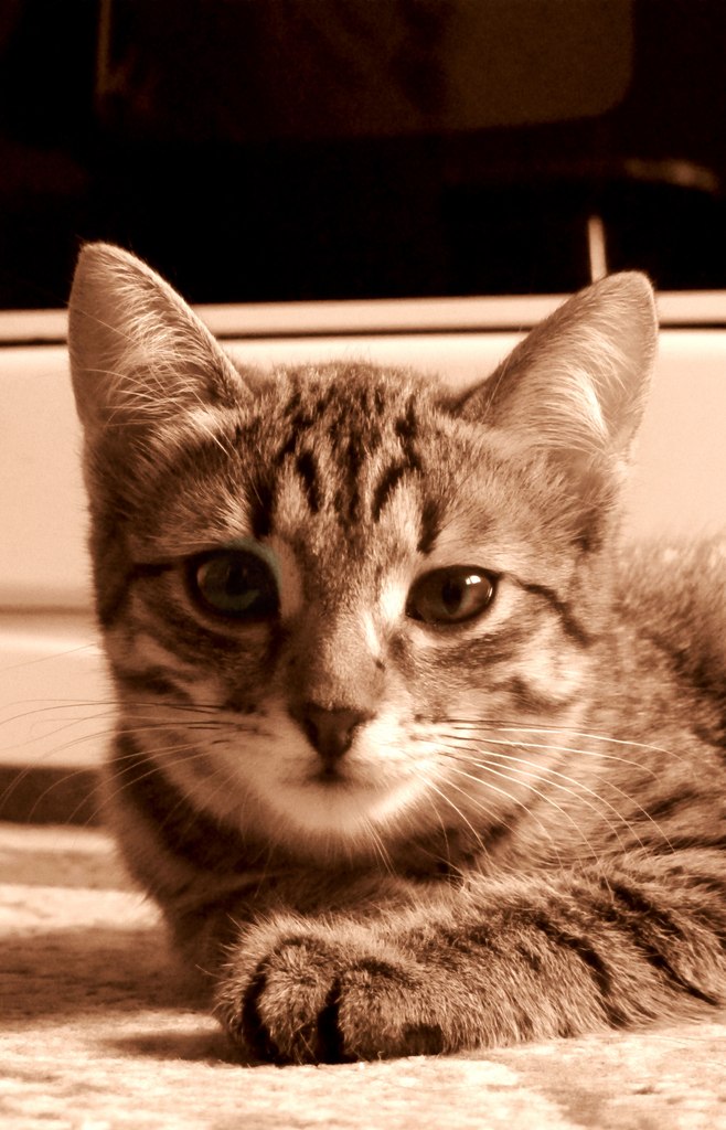 Наталья Фокеева | Альметьевск