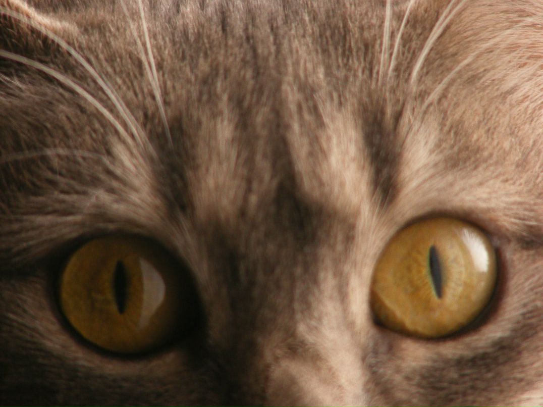 Оксана Судакова | Харьков