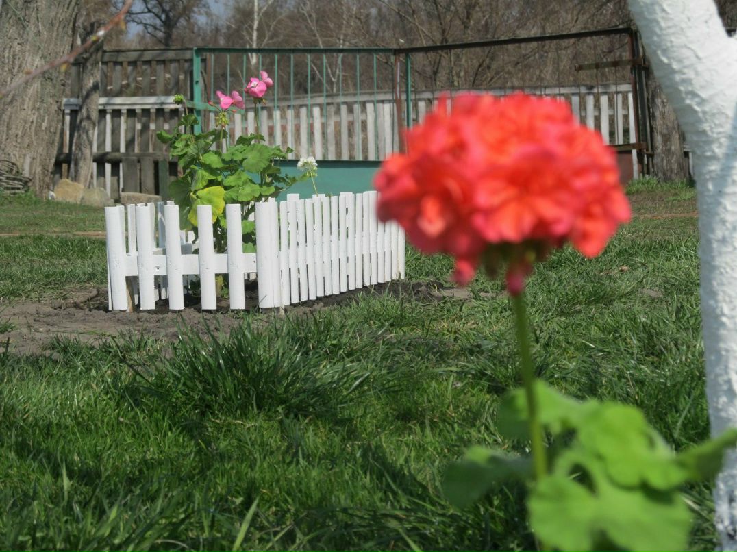 Тетяна Турутя | Киев