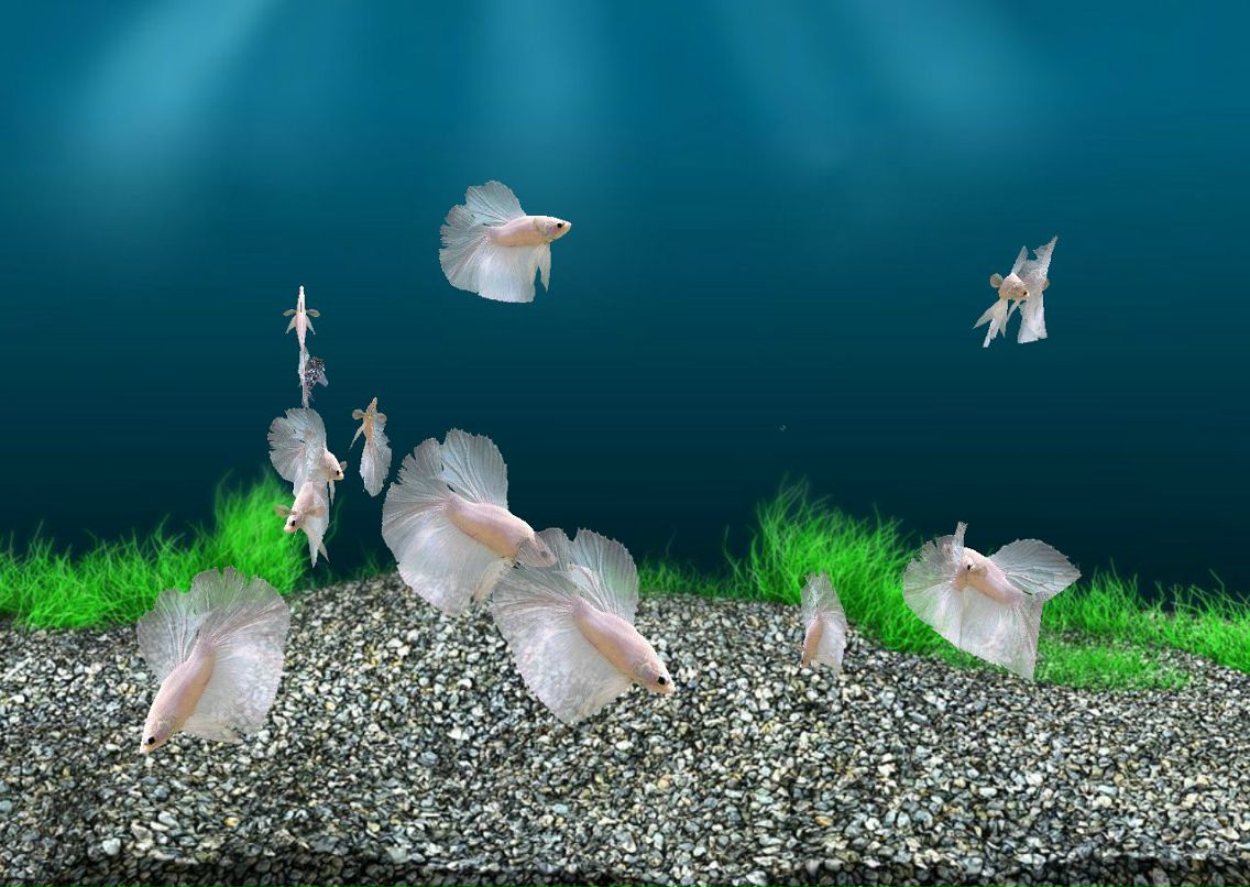 Леша Добрынин | Санкт-Петербург