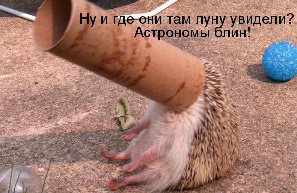 Рома Полищук | Винница