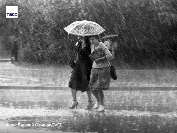 приди. идет дождь. дожди: стихи. стихи про дождь грустные. прийди снова дождь.